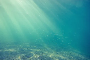 Poster Underwater shot with sunrays and fish in deep tropical sea © ValentinValkov
