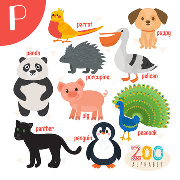 Letter P. Cute animals. Funny cartoon animals in vector. ABC boo