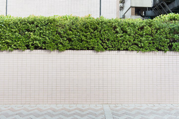 Large blank billboard on a street wall, banners with room to add your own text