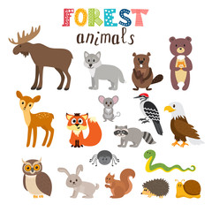 Set of cute forest animals in vector. Woodland. Cartoon style