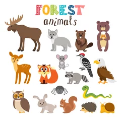 Stickers meubles Zoo Ensemble d& 39 animaux de forêt mignons en vecteur. Des bois. Style de bande dessinée