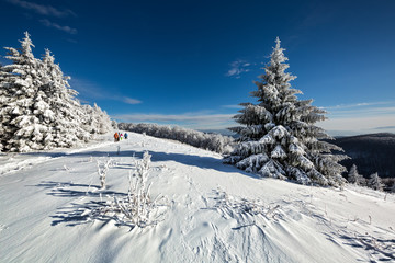 Fototapeta na wymiar Fantastic winter landscape 