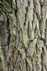 Rustikale Holztextur