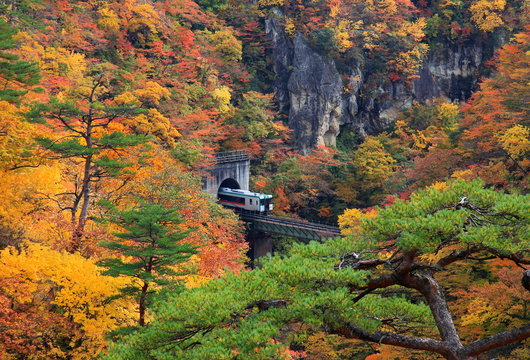 鳴子峡の紅葉