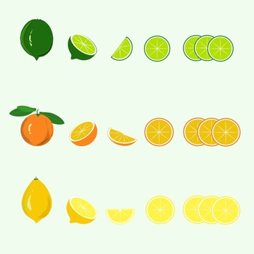 Hand drawn lime, orange, lemon, slices vector illustration