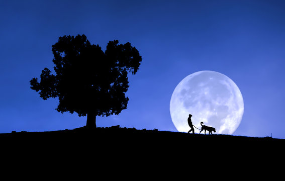Moon