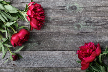 Splendid pink peonies flowers on rustic wooden background. Selective focus, place for text, top view