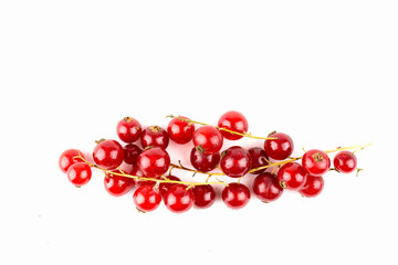 Red Currant focus by top view isolated on white background
