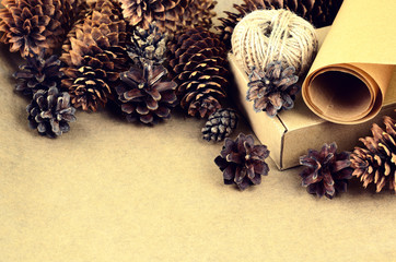 Natural items collection for handcraft