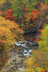 八幡平　紅葉の松川渓流