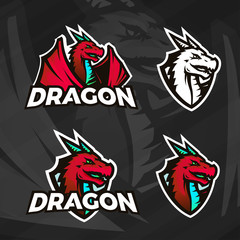 Creative dragon logo template. Sport mascot design. College league insignia, Asian beast sign, Dragons illustration