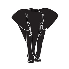 Obraz premium Elephant silhouette