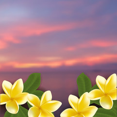 Spa concept with blurred seaside background and realistic vector frangipani