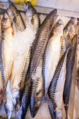 Fresh fish for sale at the seafood market.