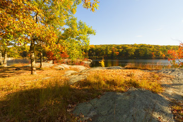 Obraz premium Fall landscape at sunset.