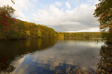 Fall landscape at sunset.