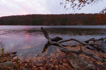 Fall landscape at sunset.