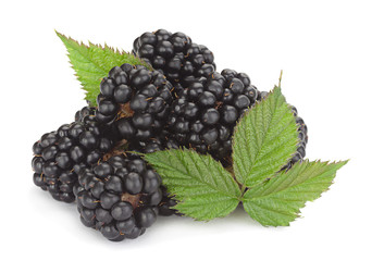 Blackberry fruit on white