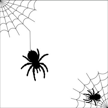 Vector of spider and spider web for Halloween background