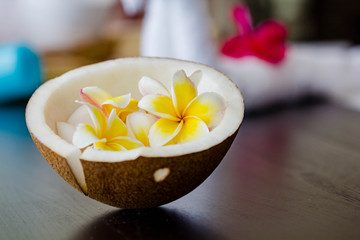 coconut and Plumeria flower