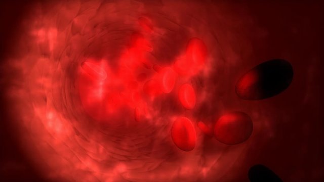 Computer generated, Medical and science animation, human blood cells.	