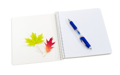 Open exercise books, blue pen and yellow and red leaves