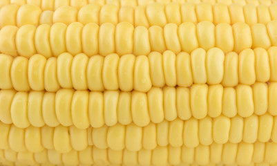  Closeup Fresh Corn background