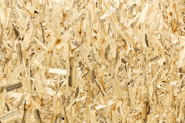 Pressed wooden panel background, seamless texture of oriented st