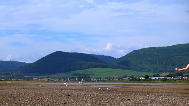 Woman Chasing Gulls on the Barachois Beach with Mountains in Background