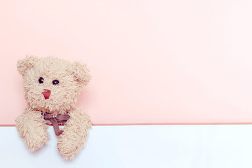 Fototapeta premium teddy bear