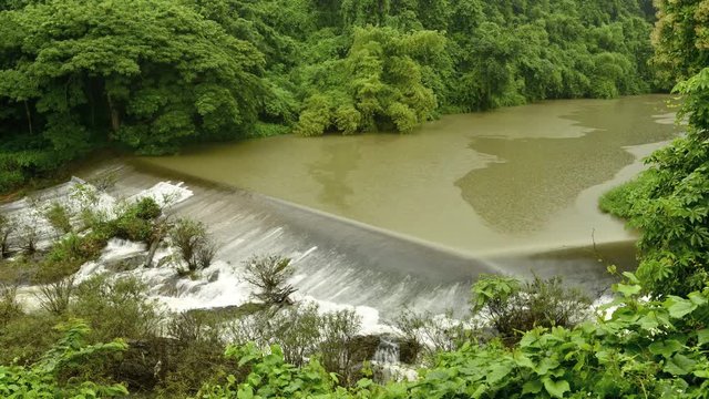 Dam on the background of forest