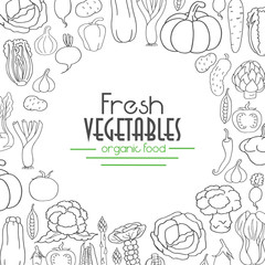 Vector background with stylish vegetables