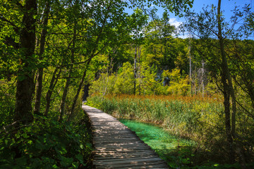 Obraz premium Wooden Walkway in Plitvice Lakes National Park, Croatia