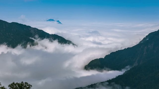 A sea of clouds in Hehuanshan National Forest park . taiwan
