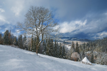 Carpathian mountain valley covered with fresh snow
