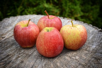 Apple. Freshly picked apples on old wood. 