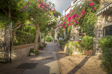 Beautiful alley full of trees and flowers on Capri Island, Italy