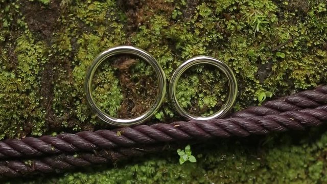 Wedding rings on a background of natural texture