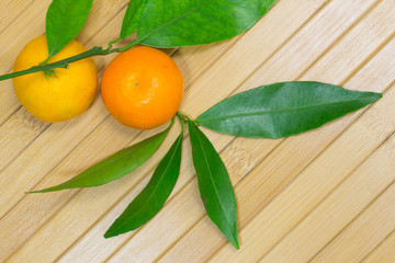 Two tangerine and leaves on  light background