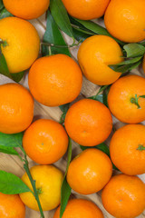 Tangerines with green leaves on light background