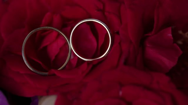 Wedding rings on a background of roses