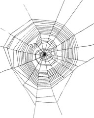 Obraz premium hand drawn spiderweb