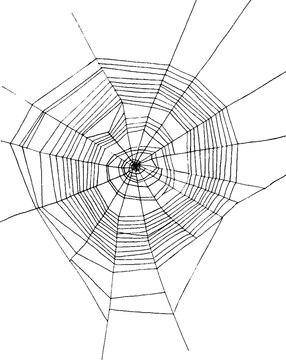 hand drawn spiderweb