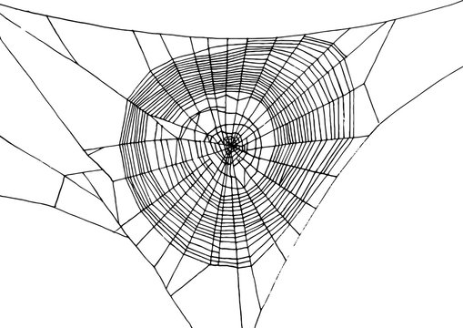 Hand Drawn Spiderweb