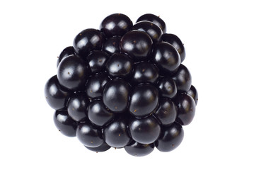 Blackberry isolated on white background. High resolution and depth of field Blackberry