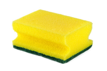 dish washing sponge