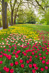Many different tulips in the spring park of Mainau island
