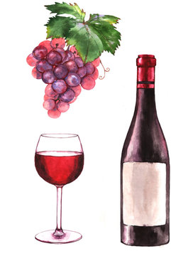 Hand-drawn watercolor illustration of the wine bottle, grape and one glass of red wine. Drawing isolated on the white background