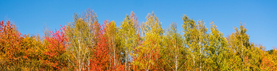 Banner Herbst3