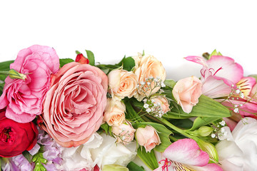 Fresh beautiful flowers on white background